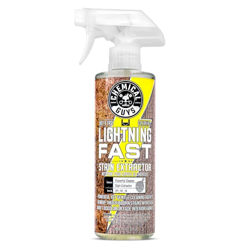 Lightning Fast Carpet and Upholstery Stain Extractor