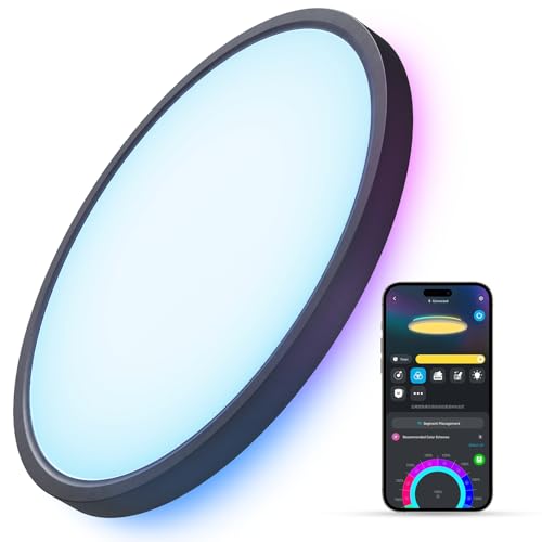 Govee Smart RGBIC LED Ceiling Light with Alexa Control