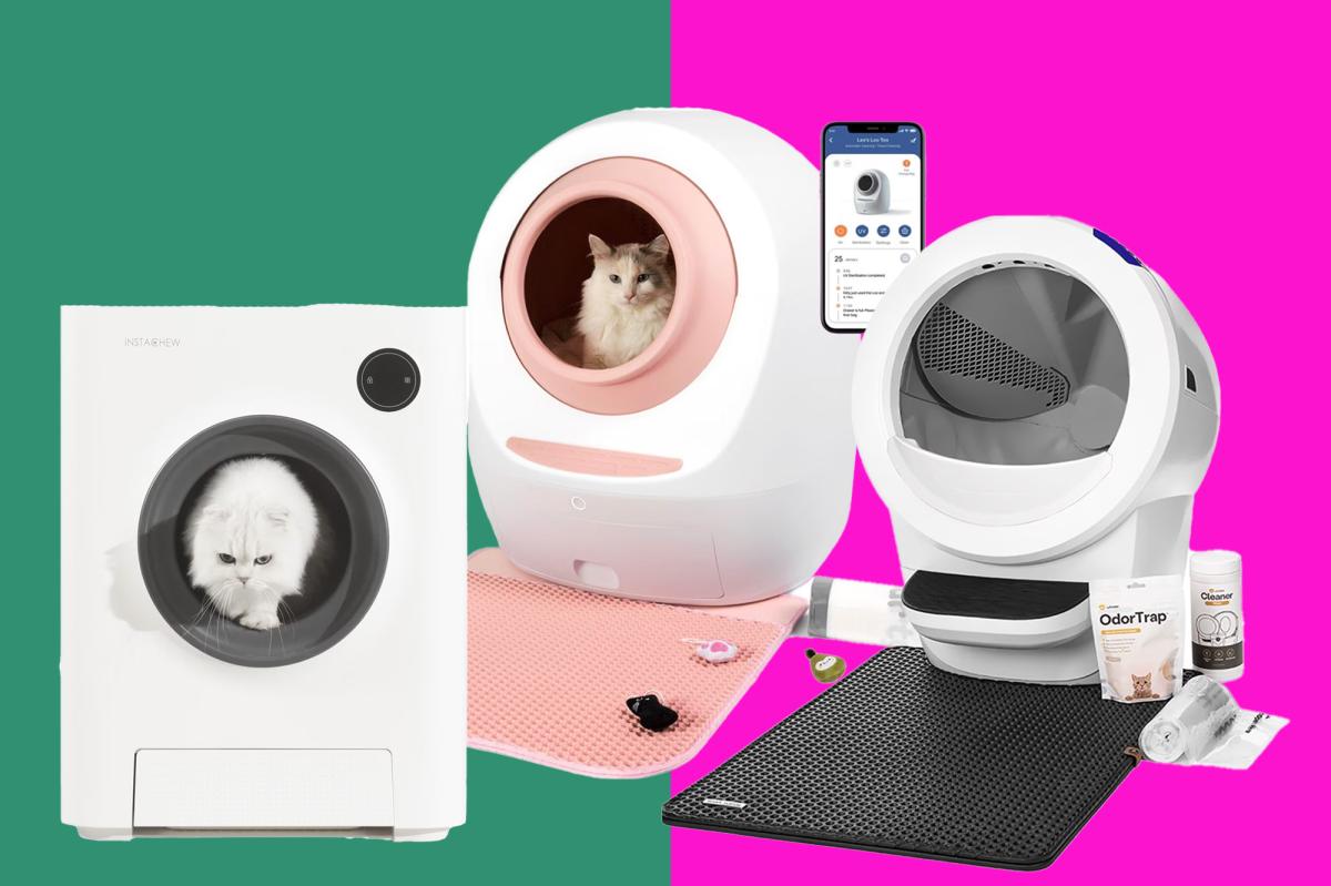 9 Best Smart Litter Boxes (2026 Review Guide)