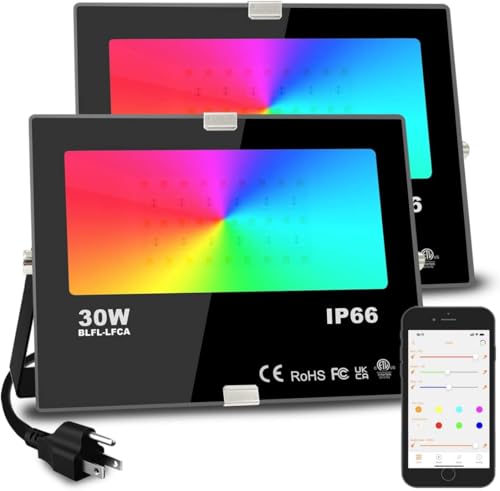 30W Bluetooth RGBW Smart LED Flood Light - Color Changing Outdoor Stage & Landscape Lighting (2 Pack)