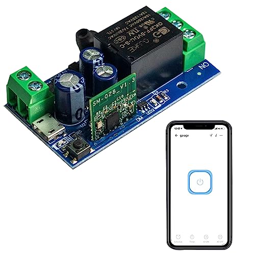 WiFi Smart Relay Module with USB Power and Voice Control