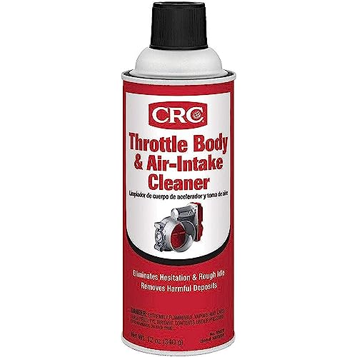 Throttle Body and Air-Intake Cleaner