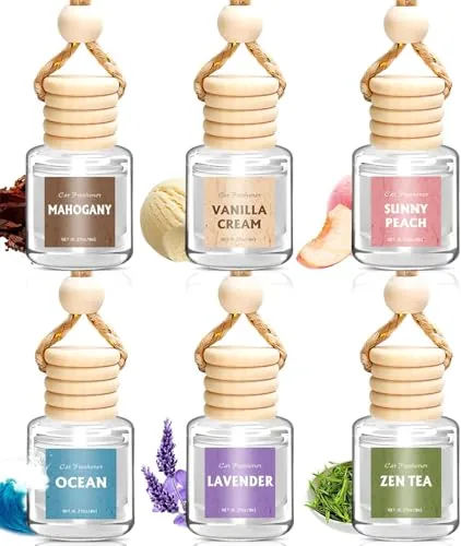 AROIC 6-Pack Hanging Essential Oil Car Air Freshener
