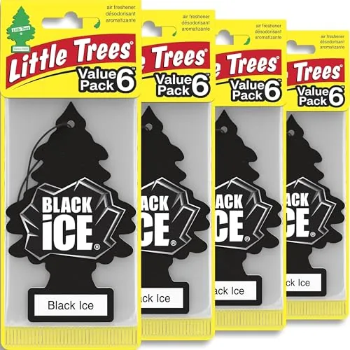 Little Trees Black Ice Car Air Freshener 24-Pack
