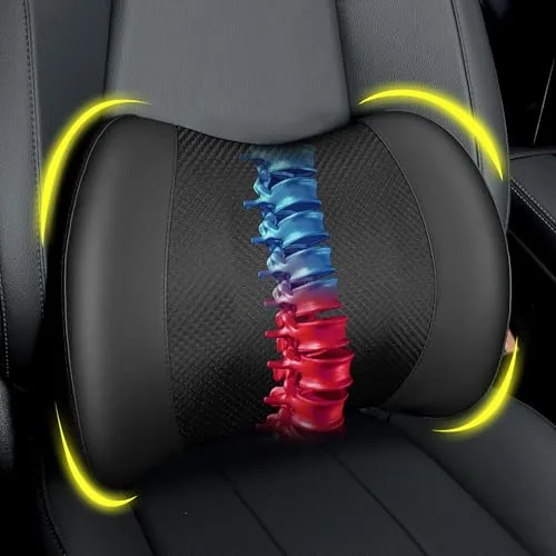 Lofty Aim Lumbar Support Pillow Memory Foam Car Back