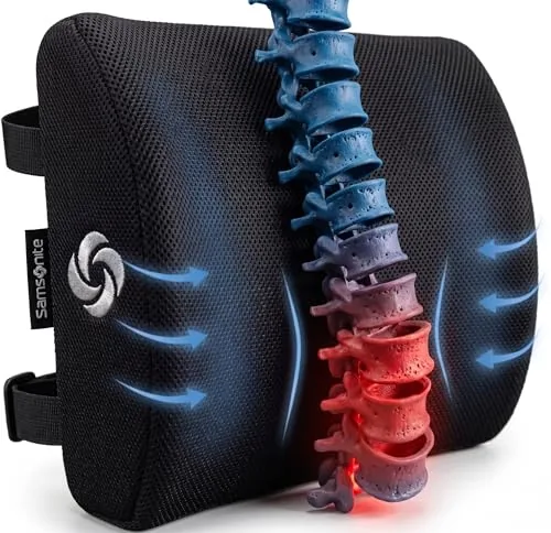 Samsonite Memory Foam Lumbar Support Pillow with Mesh Cover