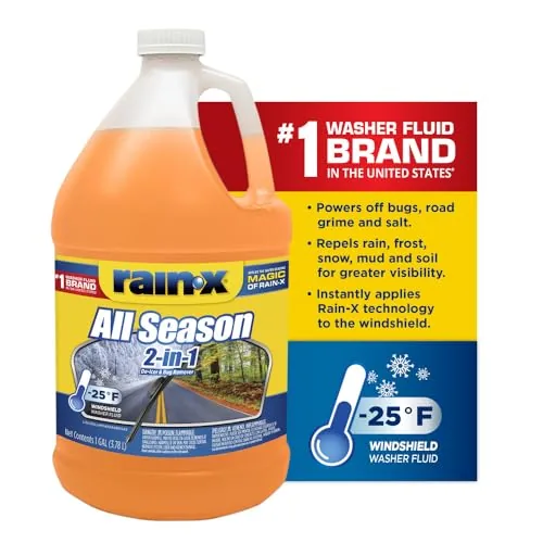 Rain-X 2-in-1 De-Icer & Bug Remover Washer Fluid